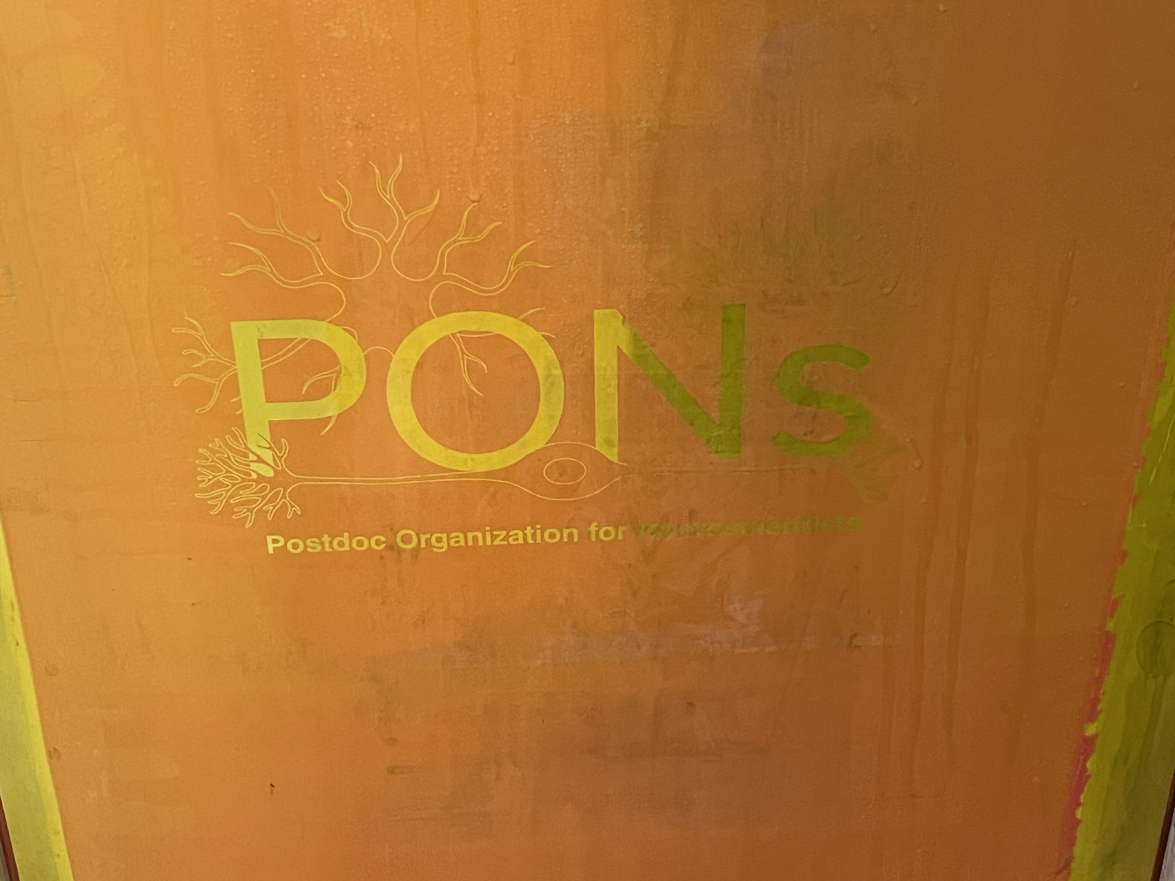 PONs t-shirts printing